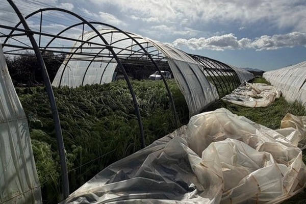 Stormschade aan gewassen en kassen in Frankrijk