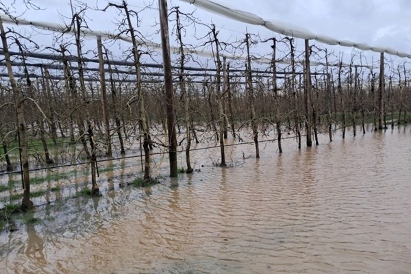 Franse fruitsector waarschuwt voor gevolgen extreem weer