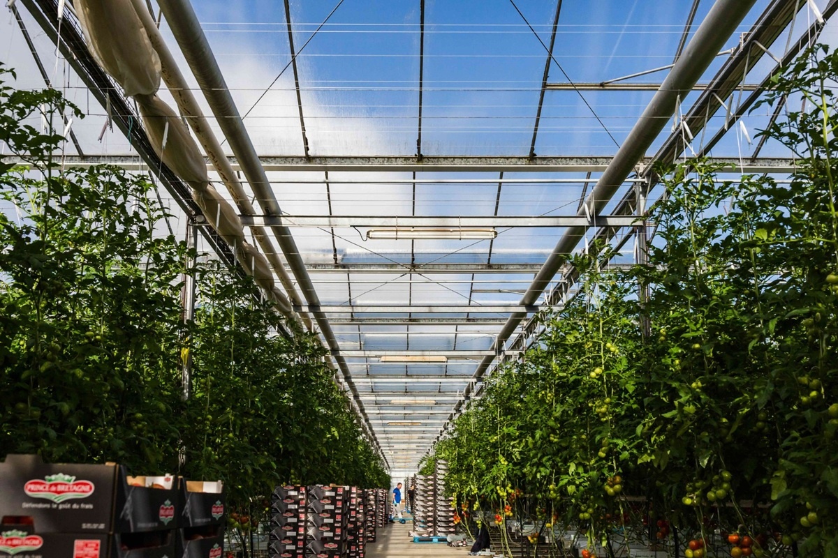 Franse kasteelt groener met lokale bio-CO₂