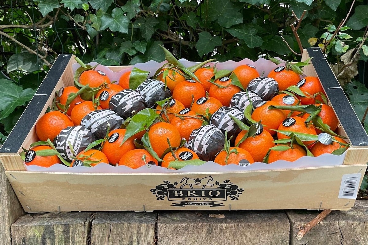 "Het moeilijkste vandaag de dag is het vinden van de koopwaar"