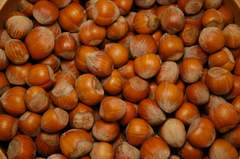 SCARICA NOCCIOLE IMMAGINI DA