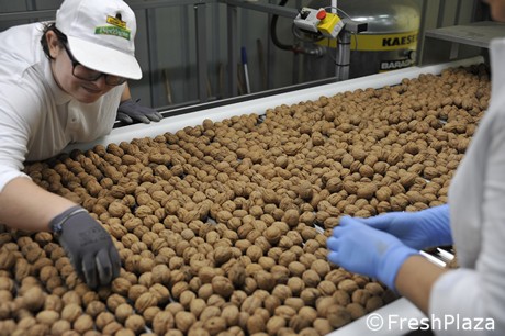 The Walnut Supply Chain Works: New Plant Inaugurated