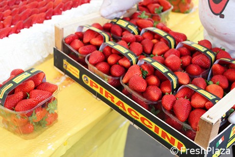 Italy Guinness World Record For The Longest Strawberry Cake