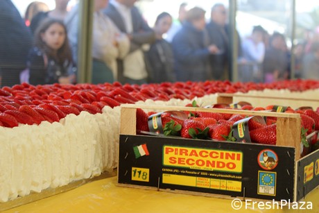 Italy Guinness World Record For The Longest Strawberry Cake