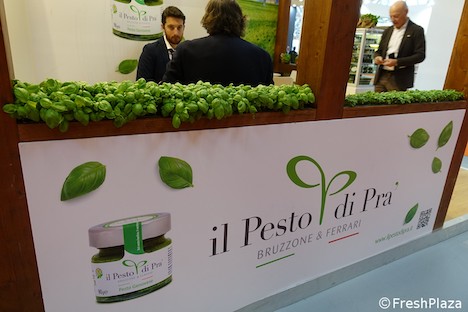 La filiera locale del basilico fa la differenza per il pesto fresco