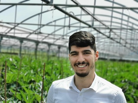 Coltivare Zucchine Nella Stagione Invernale In Centro Italia