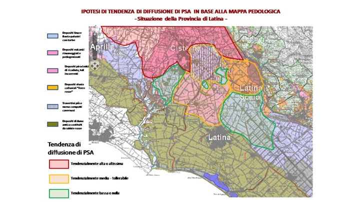 Moria del kiwi: osservazioni sulla natura dei suoli e intensita' del