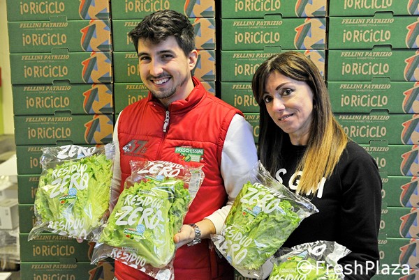 Zero-residue lettuce already available - Vimarsana News