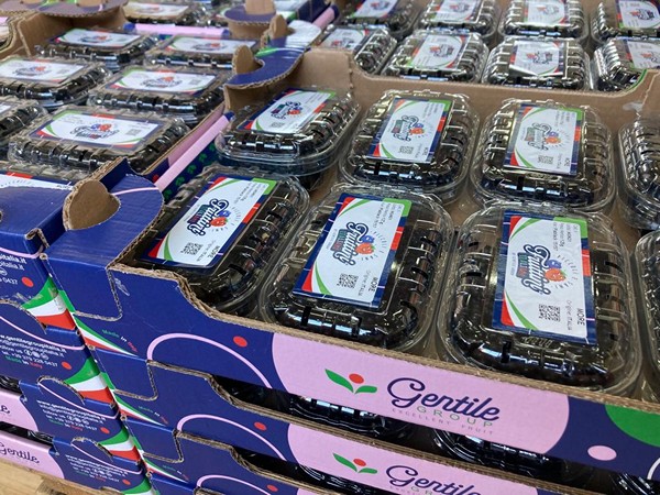 Fruttini italiani raspberries soon to be available on the market - Vimarsana News