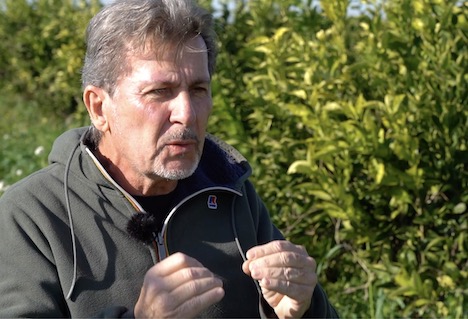 Why produce organically: questions from producers and consumers - Vimarsana News