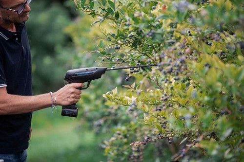 A shaker to reduce blueberry harvesting costs - Vimarsana News
