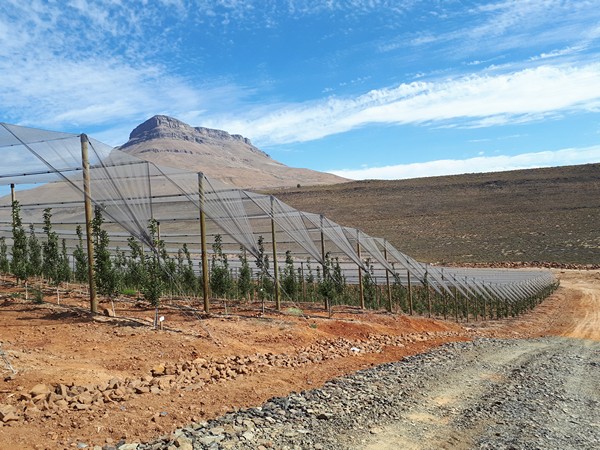 Italian protection systems reach South Africa - Vimarsana News