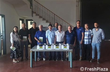 Chinese delegation visits Sicilian grape growers - Vimarsana News