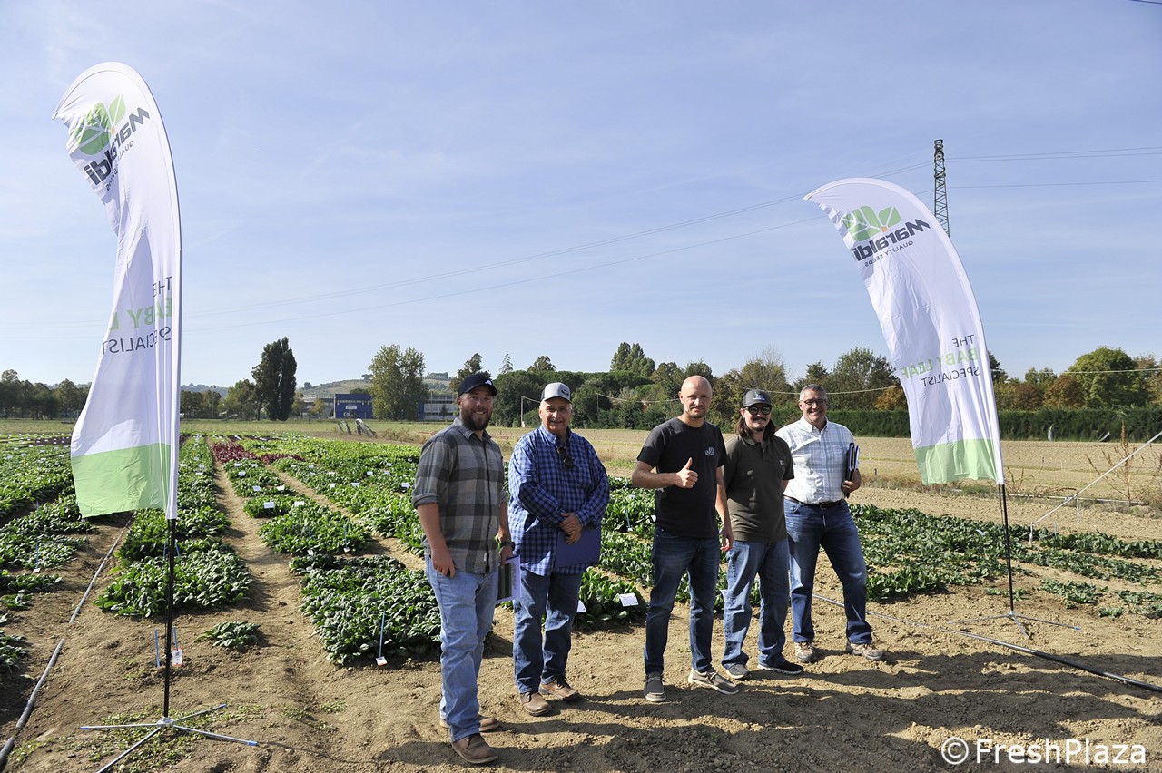 Operators from all over the world to see the latest developments in the Italian fresh-cut industry - Vimarsana News