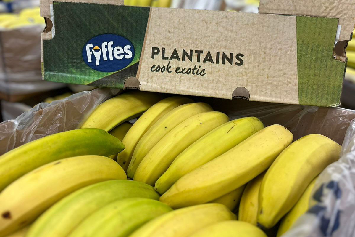 Dole Bananas, Organic, Bananas & Plantains