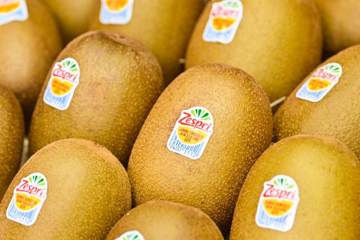 Martine Floreal na 23 jaar Zespri praktijklector supply chain HOGENT