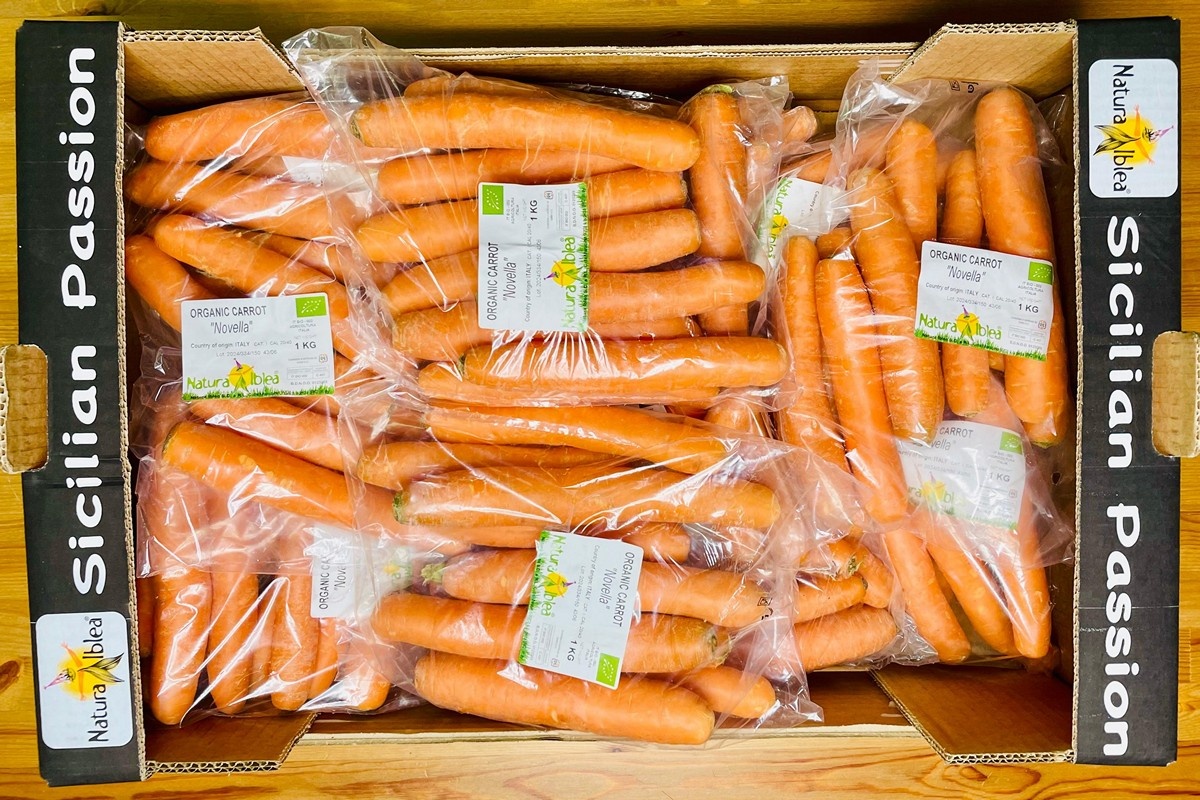 Export biologische wortelen uit Sicilië van start