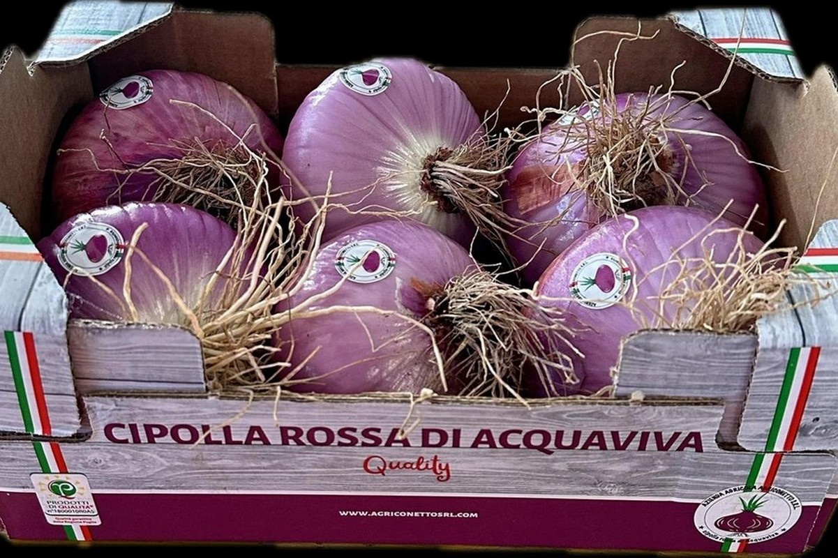 Oogst rode Acquaviva uien half juni van start