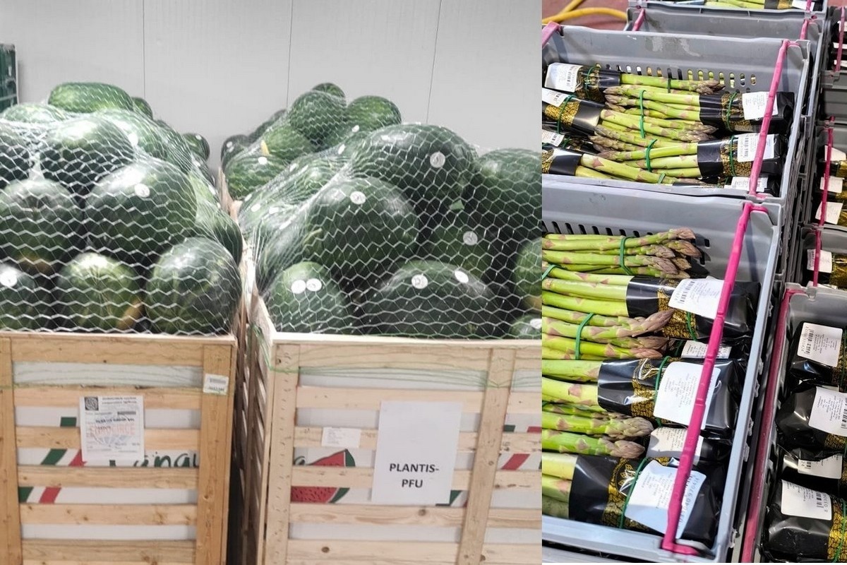 Italiaans aspergeseizoen loopt ten einde, aanvoer watermeloenen komt op gang