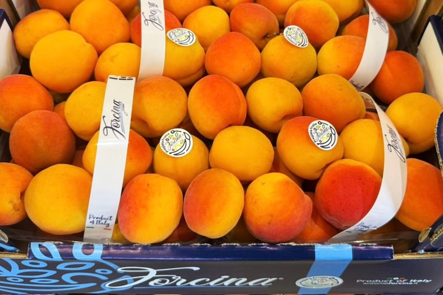 Steenfruit uit Zuid-Italië: kleinere oogst, meer smaak