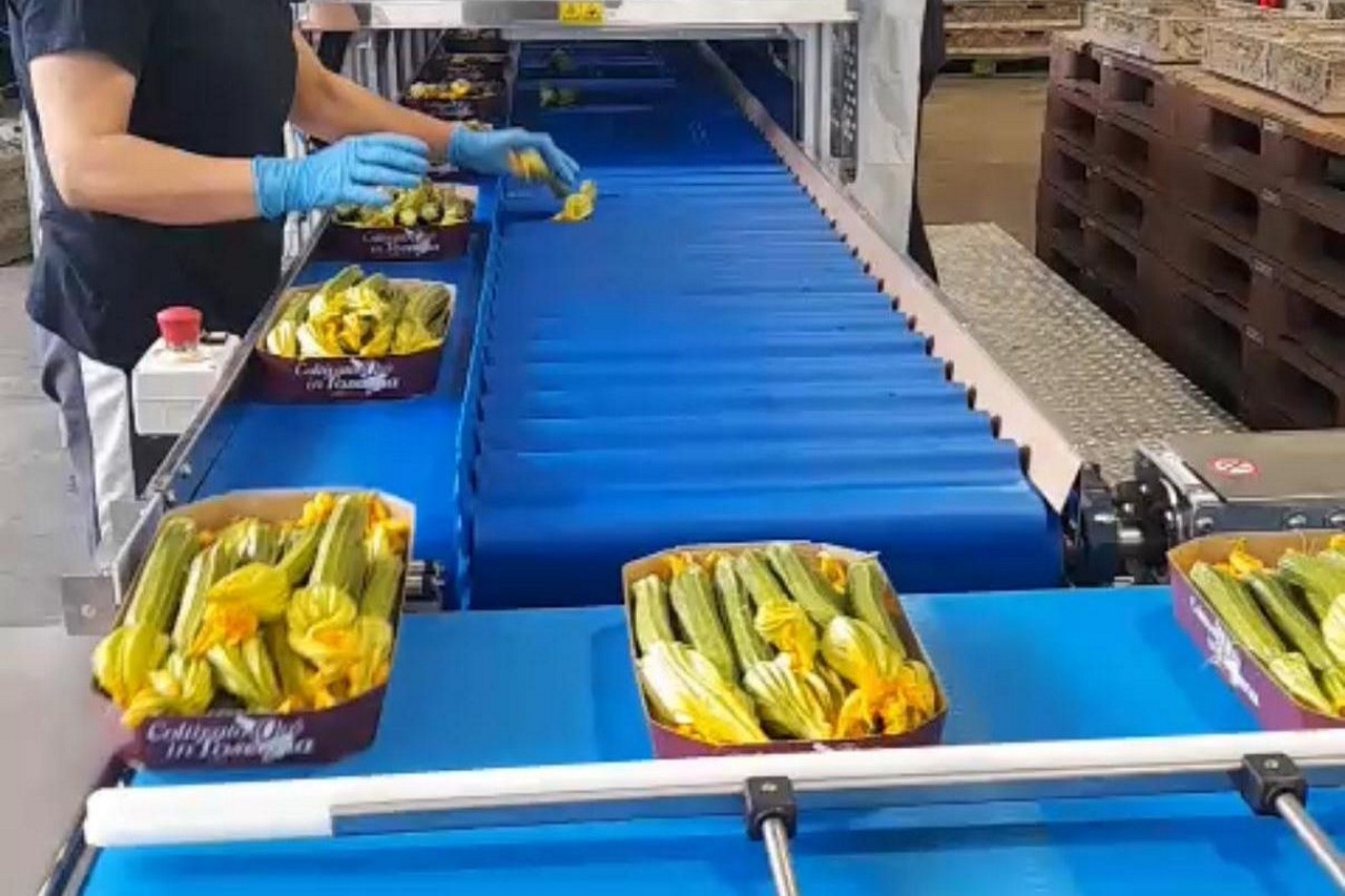 New technology for weighing delicate vegetables