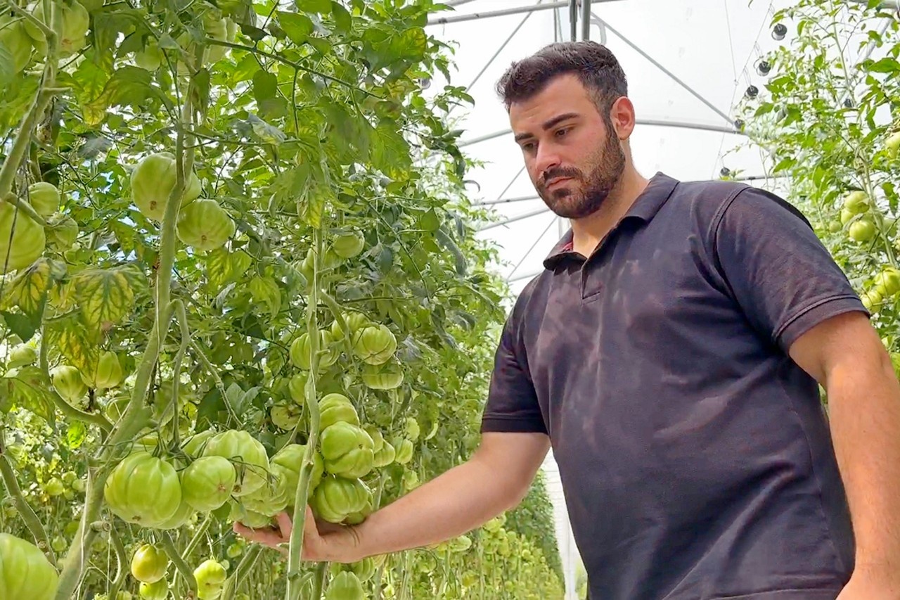Zero residue with ozone, a field experience in Emilia-Romagna