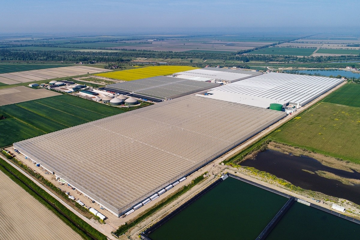 Groot investeringsproject Fri-El: uitbreiding naar 1.000 medewerkers en energieneutrale teelt