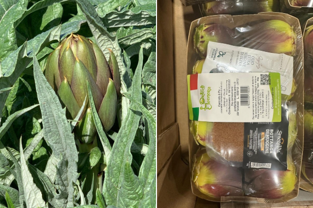 Veranderende eetgewoonten remmen consumptie van artisjokken