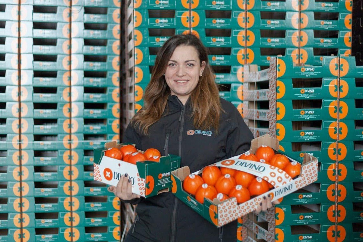 Afzet Italiaanse Divino kaki's zo goed dat seizoen al eind januari afloopt