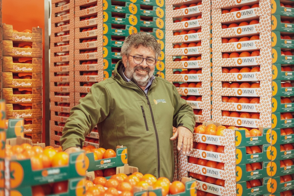 Goede vraag naar Divino kaki's, snel door voorraad