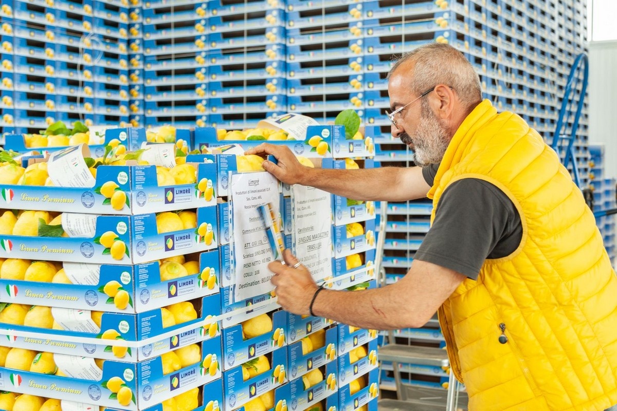 Beperkt aanbod stuwt citroenprijzen met 30% omhoog