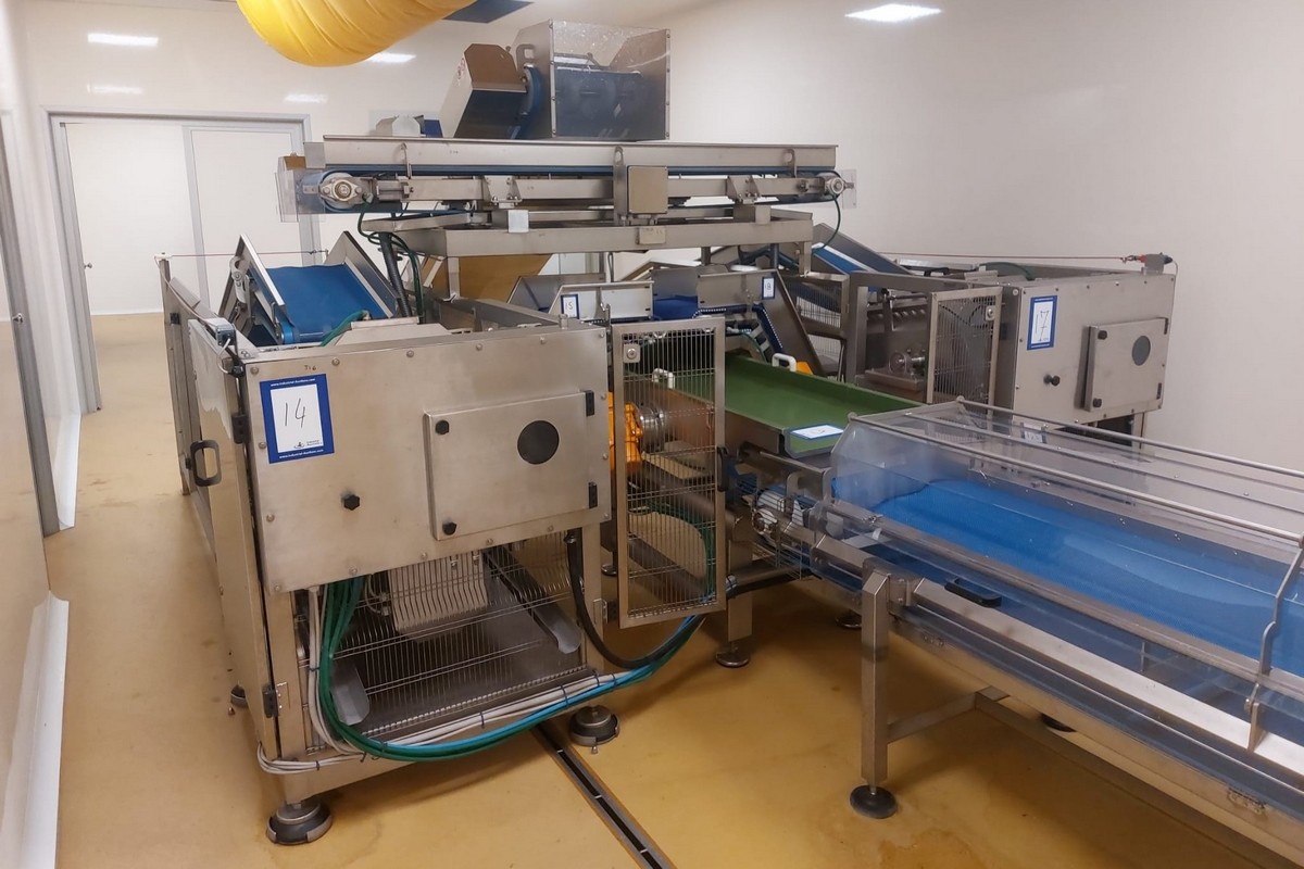 Vrijwel ongebruikte complete groentelijn onder de hamer in Italië