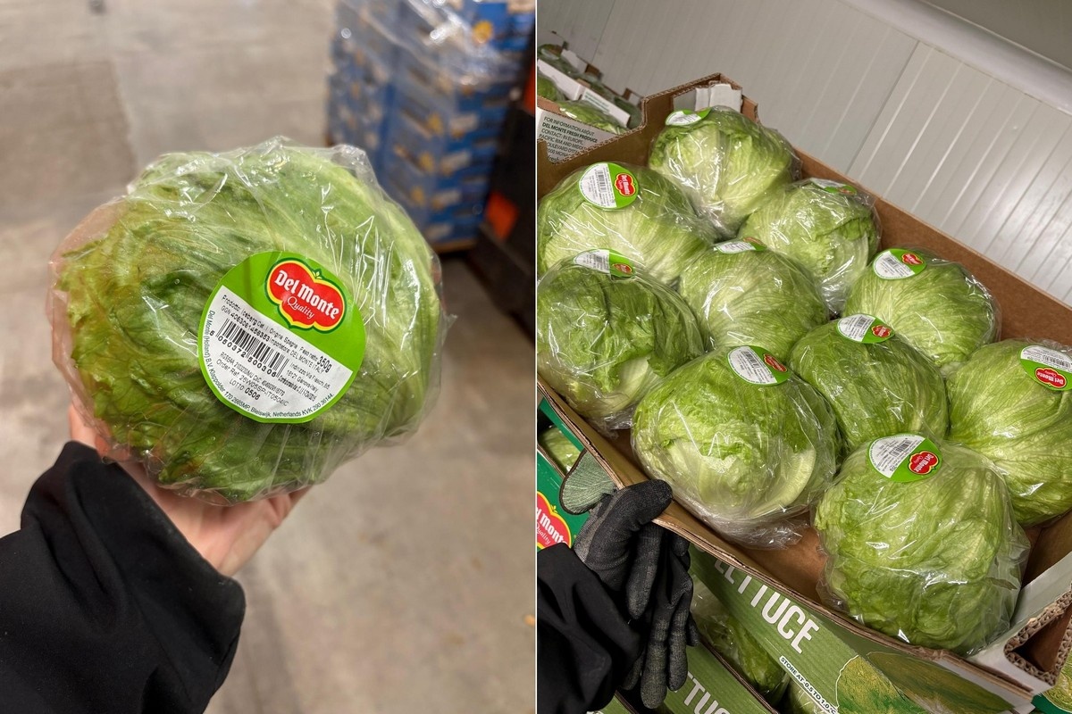 Storm zet rem op aanvoer Spaanse ijsbergsla: prijzen stijgen snel in Italië