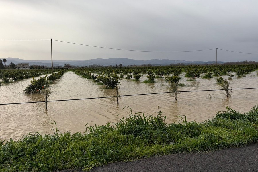 Nieuwe storm treft Calabrië: duizenden hectares beschadigd, oogst in gevaar