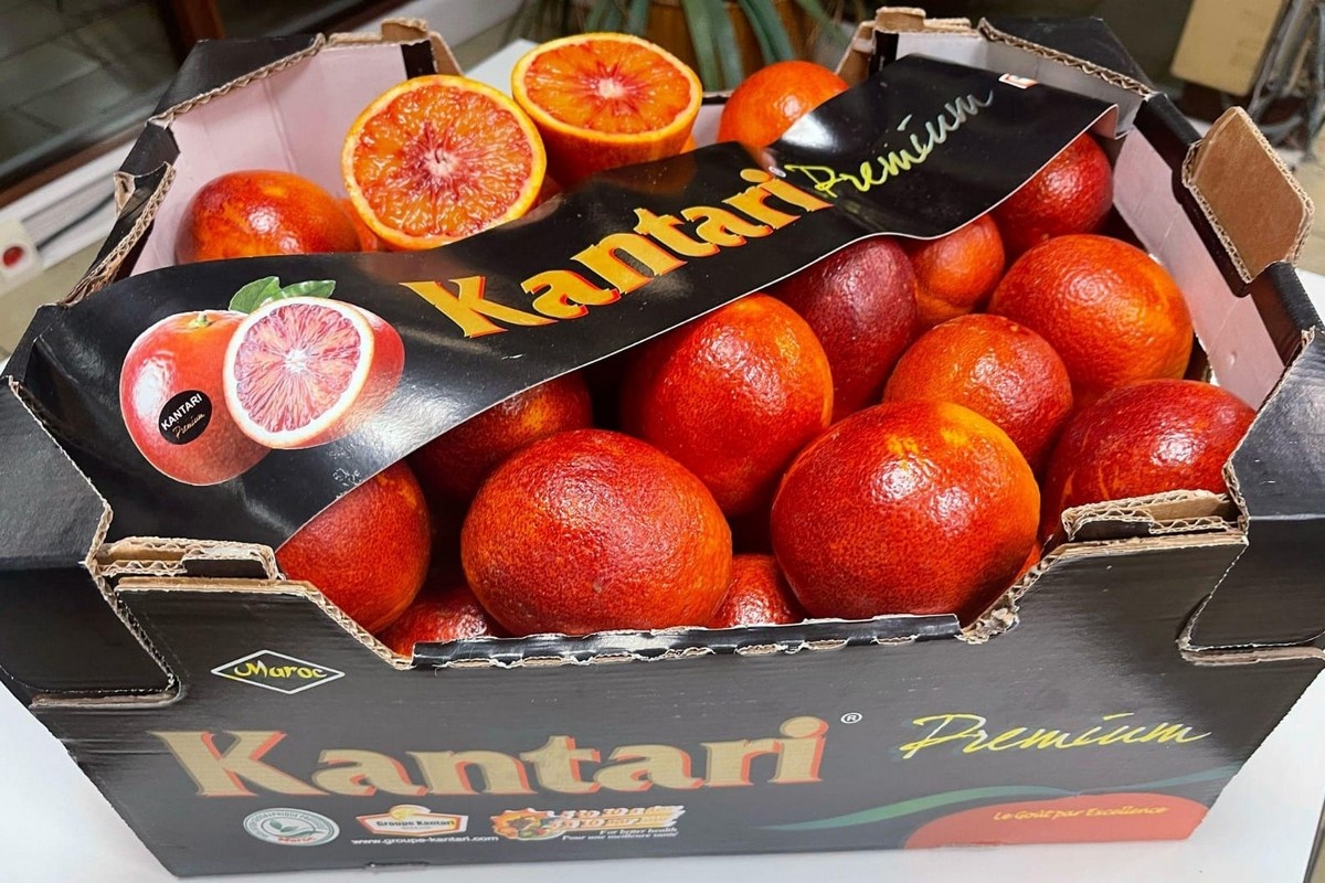 Late vorst en droogte beïnvloeden citrusaanvoer uit Spanje en Italië