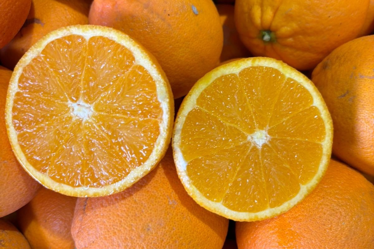 Lane Late als strategisch sluitstuk van Italiaans citrusseizoen