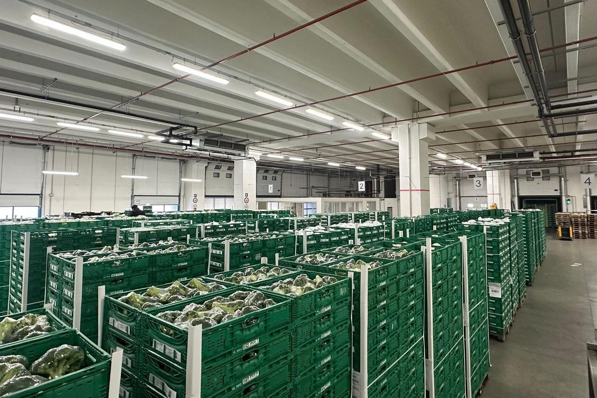 Как меняется цепочка поставок овощей и фруктов