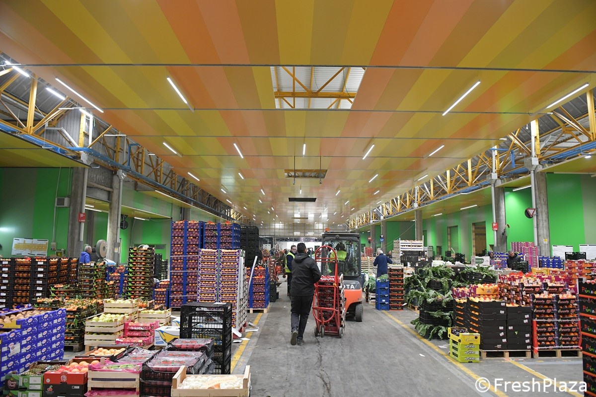 Реновация рынка Кезена: модернизация, экология и цифра к апрелю