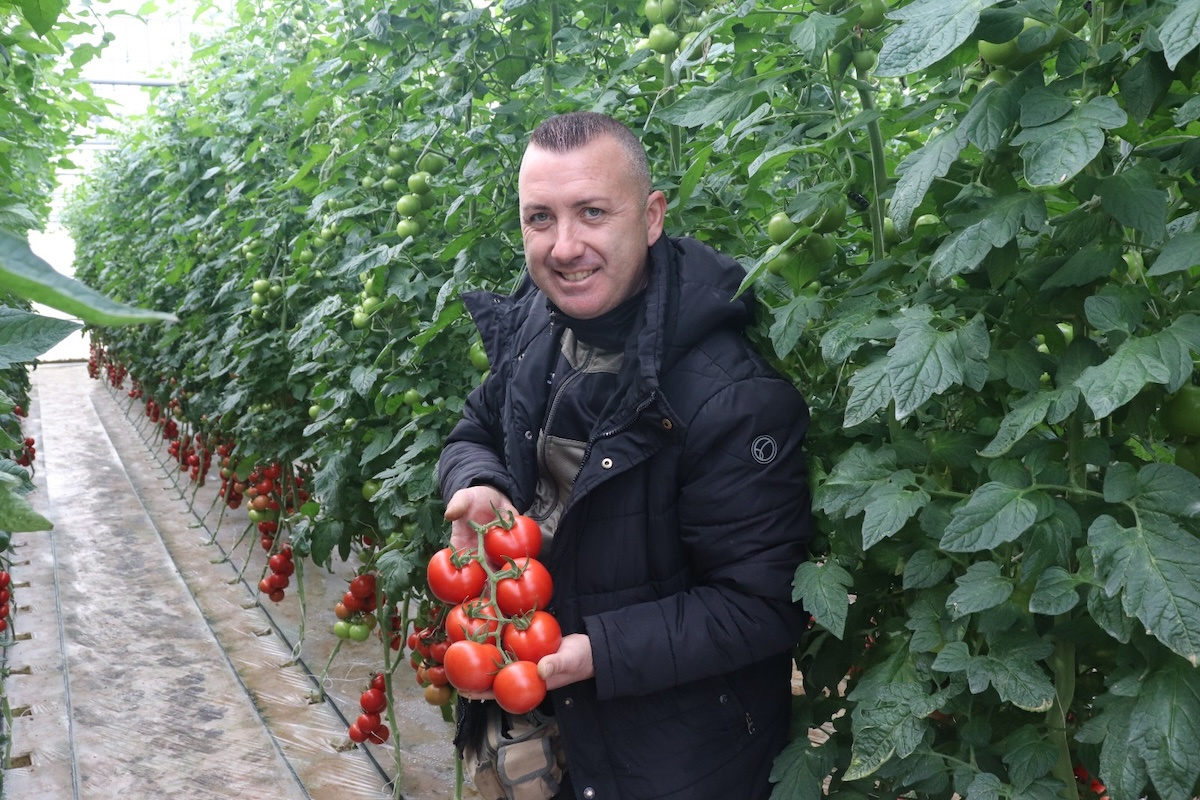 Генетика важна, но качество решается на поле