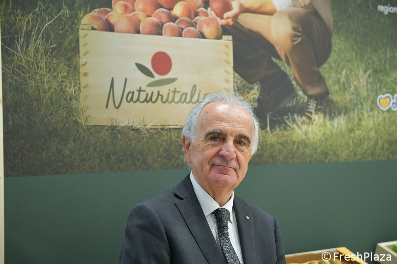 Растущий рынок и потребление зелёного киви