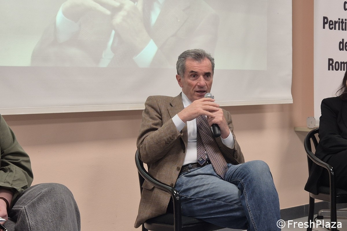 Роботы для сбора киви начнут работать к 2027 году