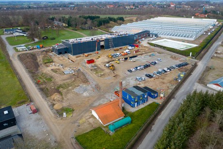 Large scale cannabis cultivation in Odense, Denmark