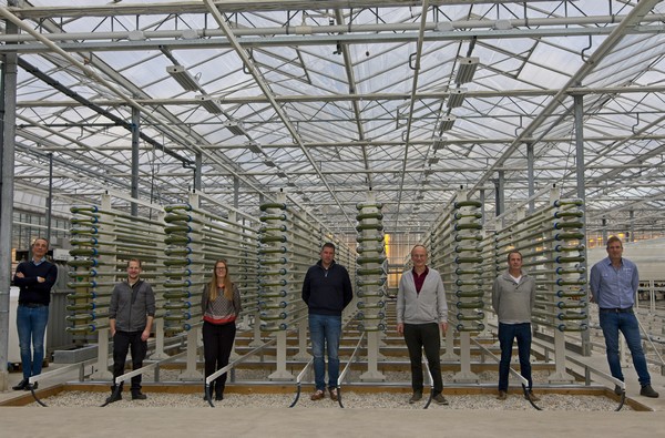 High quality algae from fully automated production facility in Dutch greenhouse - Vimarsana News