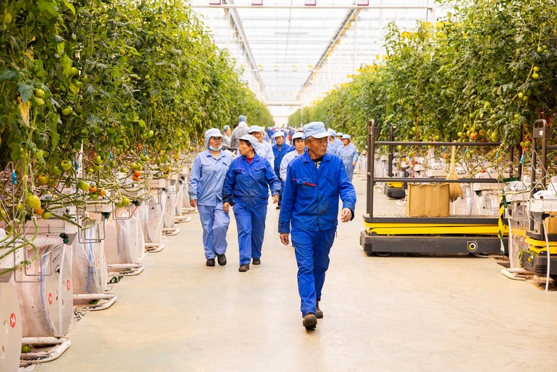 "This project shows the future of cultivation for China and the Netherlands" - Vimarsana News