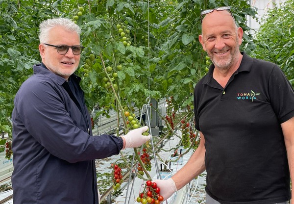 Van Geest International new Tomatoworld buyer, partner - Vimarsana News