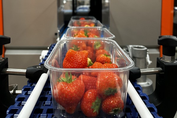 AI quality inspection now also available for soft and stone fruit - Vimarsana News