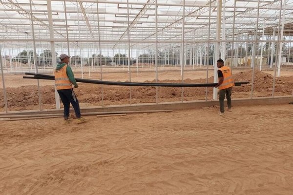 The Netherlands are engaged in efforts to make Moroccan horticulture more sustainable - Vimarsana News