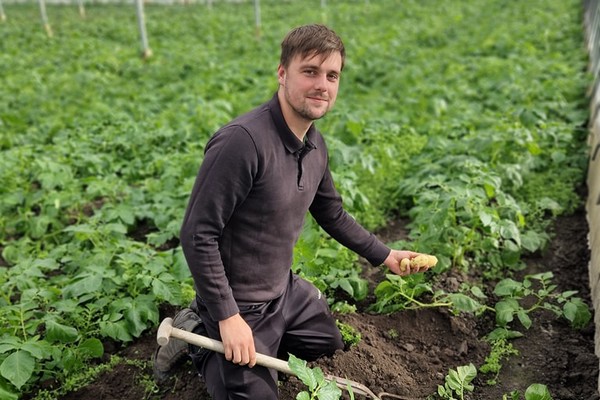 Eerste aardappelen weer uit de kas