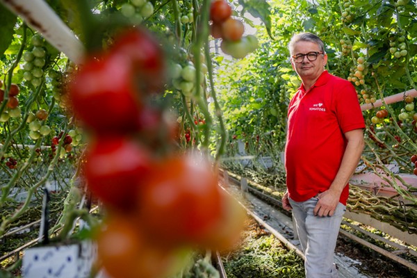 Dick van Noord 60 jaar: “Met volle energie en passie ieder seizoen weer een mooie tomatenteelt”