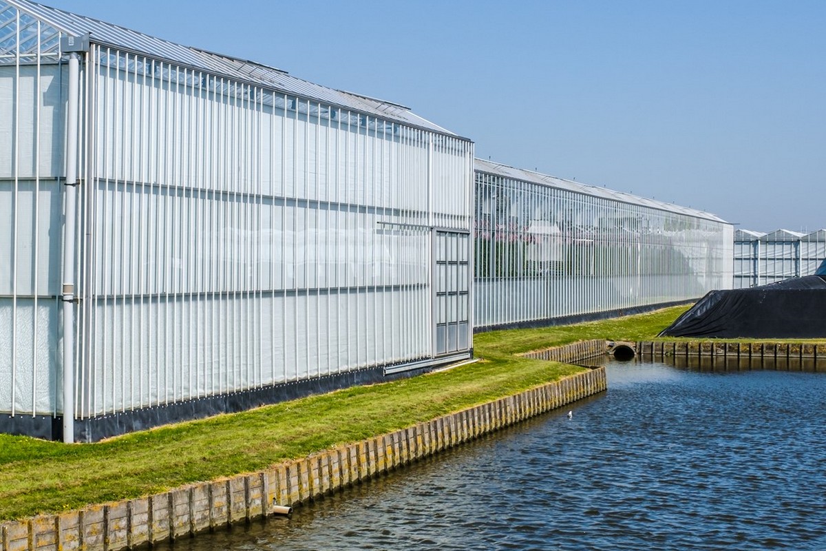 Weer insecticiden gevonden in water bij kassengebied Bleiswijk